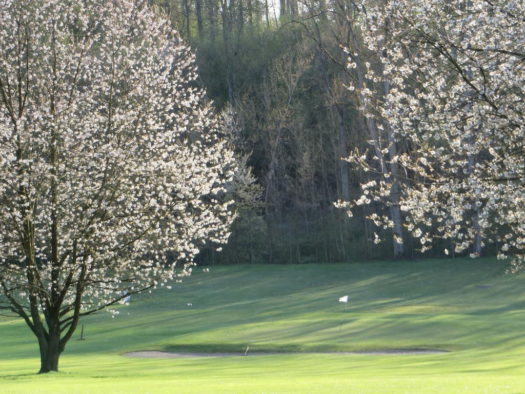 Golf & Hotel De Falnuee Mazy Εξωτερικό φωτογραφία
